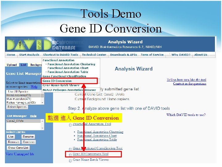 Tools Demo Gene ID Conversion 點選 進入 Gene ID Conversion 