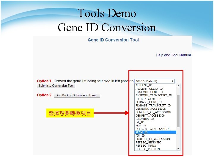 Tools Demo Gene ID Conversion 選擇想要轉換項目 