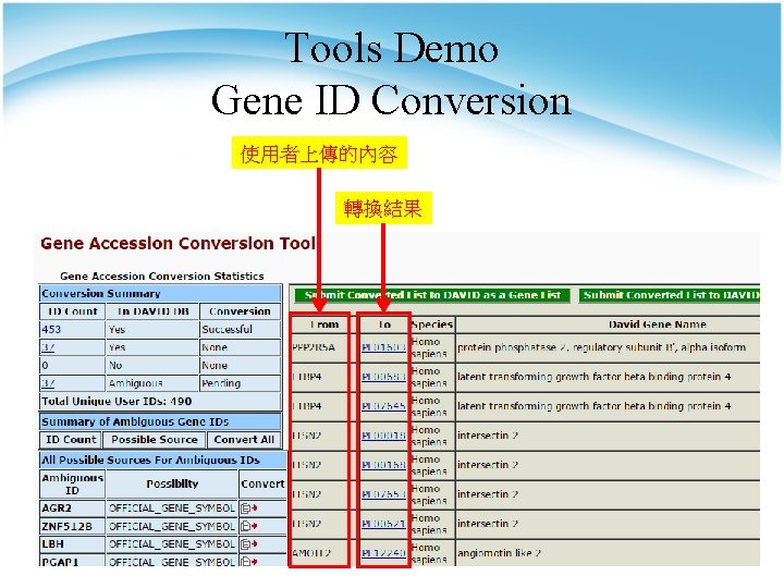 Tools Demo Gene ID Conversion 使用者上傳的內容 轉換結果 
