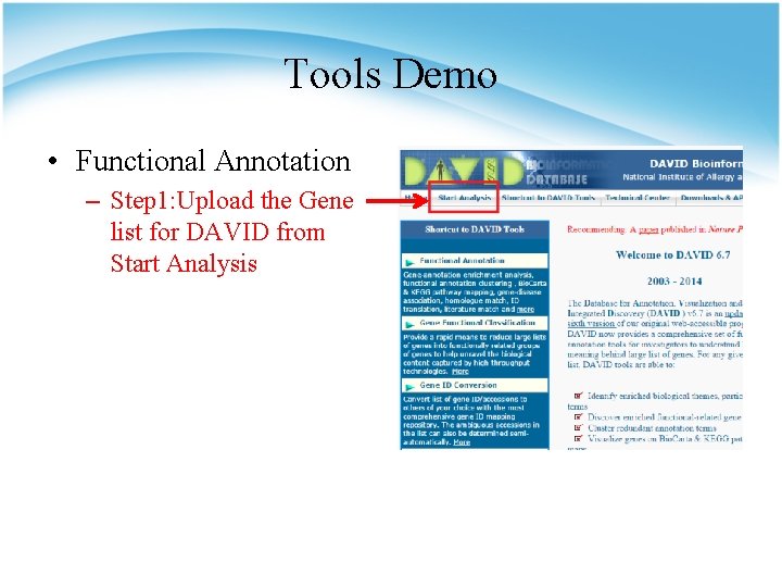 Tools Demo • Functional Annotation – Step 1: Upload the Gene list for DAVID