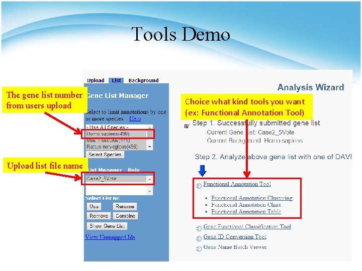 Tools Demo The gene list number from users upload Upload list file name Choice