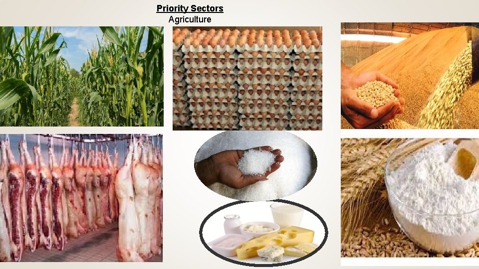 Priority Sectors Agriculture 