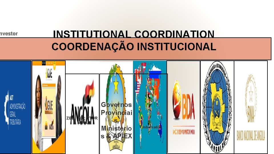 nvestor INSTITUTIONAL COORDINATION COORDENAÇÃO INSTITUCIONAL Governos Provinciai ZEE, PDI; PTUR s, & MINAG Ministério