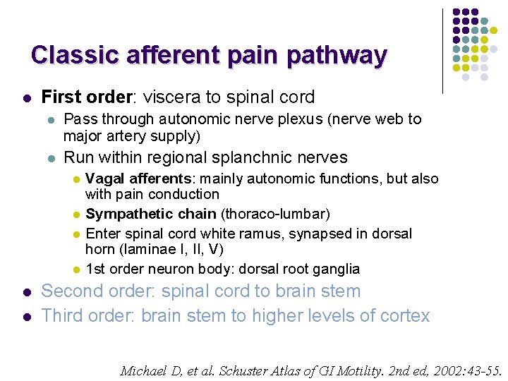 Classic afferent pain pathway l First order: viscera to spinal cord l Pass through