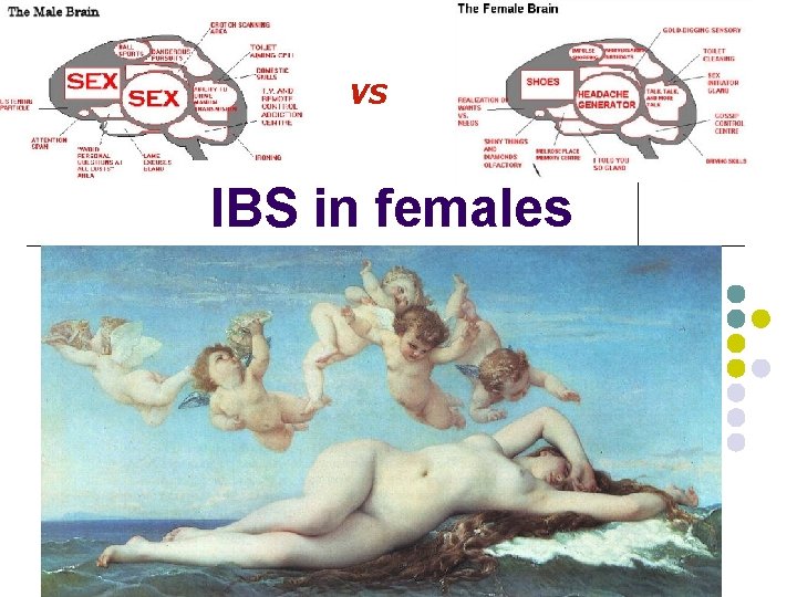 VS IBS in females 