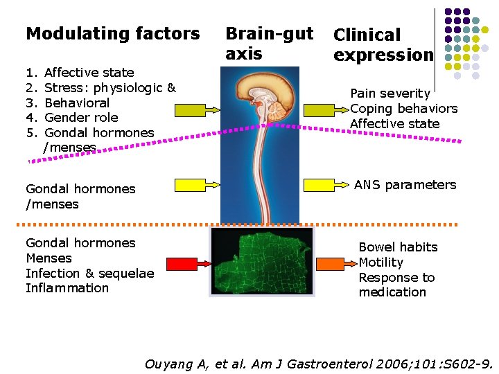 Modulating factors 1. 2. 3. 4. 5. Affective state Stress: physiologic & Behavioral Gender