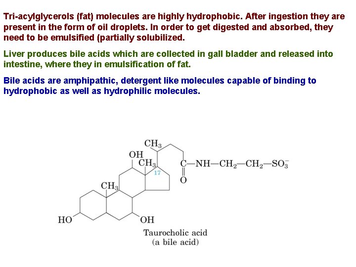 Tri-acylglycerols (fat) molecules are highly hydrophobic. After ingestion they are present in the form