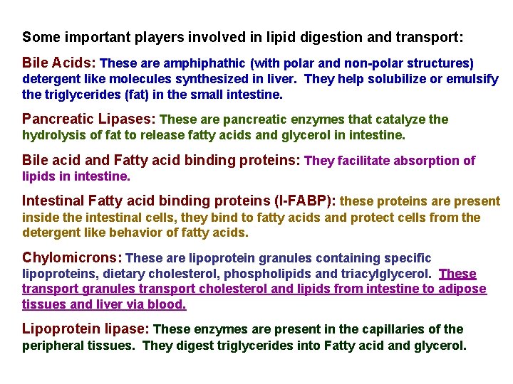 Some important players involved in lipid digestion and transport: Bile Acids: These are amphiphathic