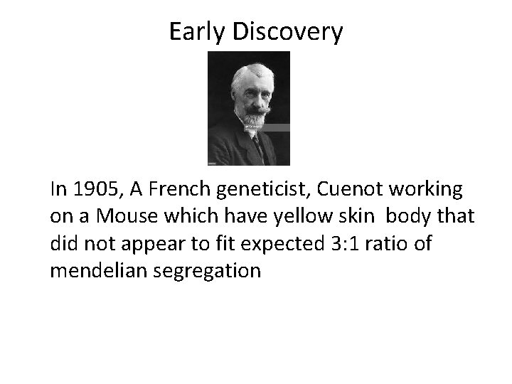 Early Discovery In 1905, A French geneticist, Cuenot working on a Mouse which have