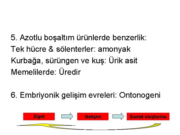 5. Azotlu boşaltım ürünlerde benzerlik: Tek hücre & sölenterler: amonyak Kurbağa, sürüngen ve kuş: