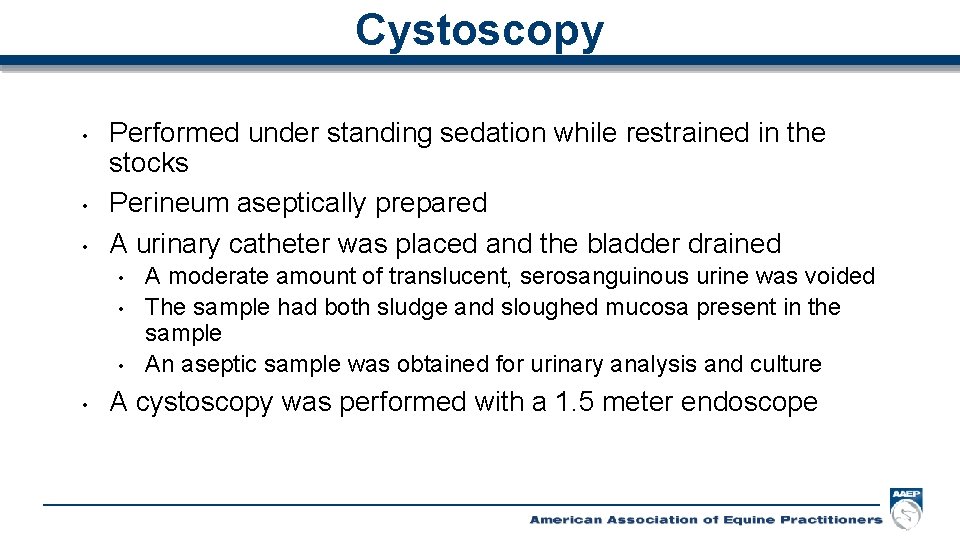 Cystoscopy • • • Performed under standing sedation while restrained in the stocks Perineum