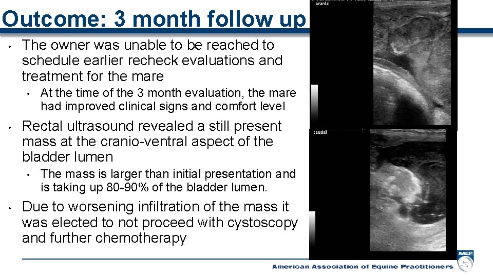 Outcome: 3 month follow up • The owner was unable to be reached to