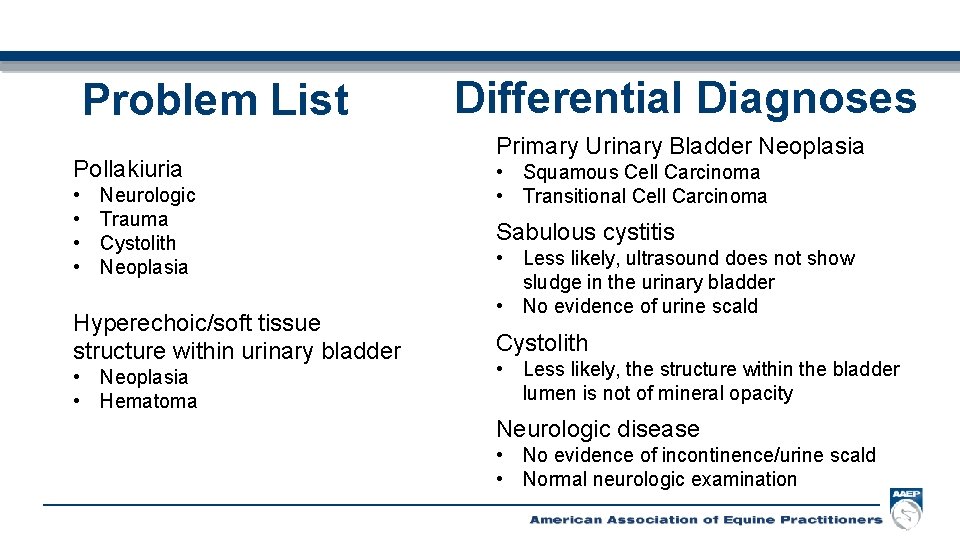 Problem List Pollakiuria • • Neurologic Trauma Cystolith Neoplasia Hyperechoic/soft tissue structure within urinary