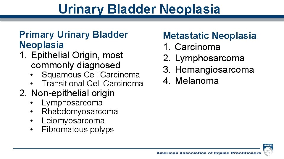 Urinary Bladder Neoplasia Primary Urinary Bladder Neoplasia 1. Epithelial Origin, most commonly diagnosed •