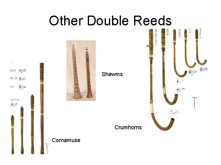 Other Double Reeds Shawms Crumhorns Cornamuse 