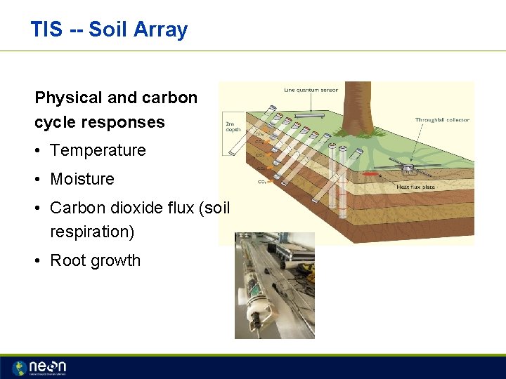 TIS -- Soil Array Physical and carbon cycle responses • Temperature • Moisture •
