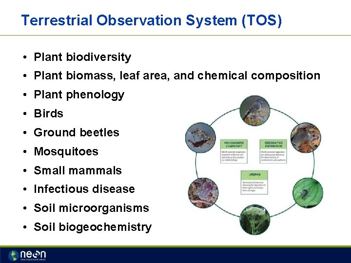 Terrestrial Observation System (TOS) • Plant biodiversity • Plant biomass, leaf area, and chemical