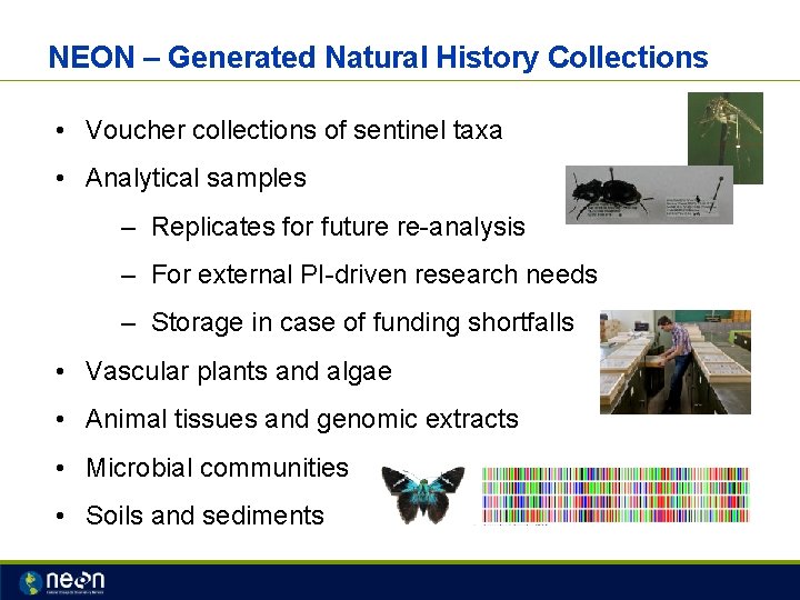 NEON – Generated Natural History Collections • Voucher collections of sentinel taxa • Analytical
