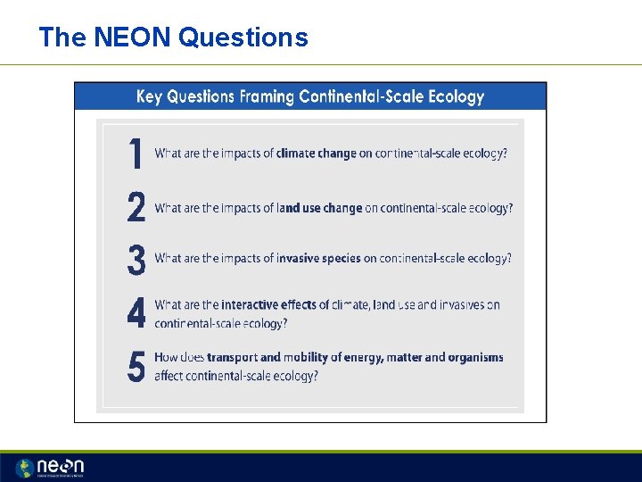 The NEON Questions 