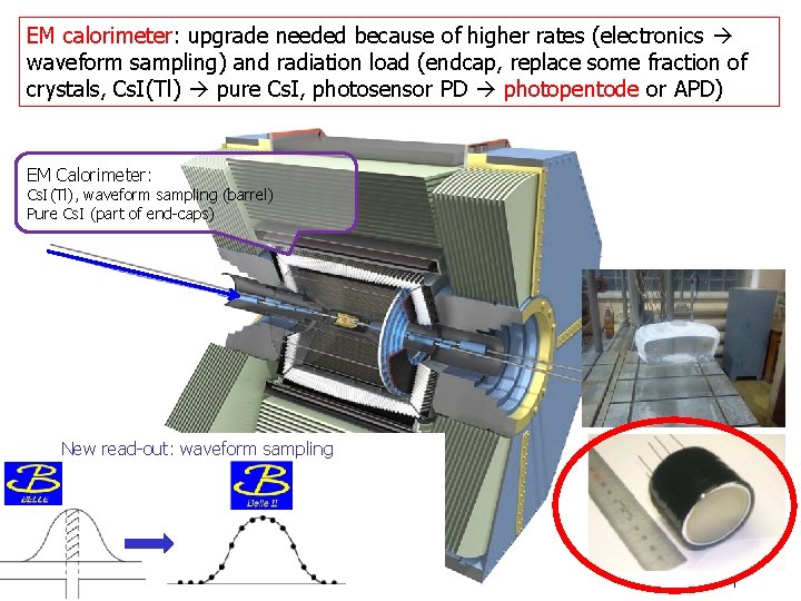 EM calorimeter: upgrade needed because of higher rates (electronics waveform sampling) and radiation load