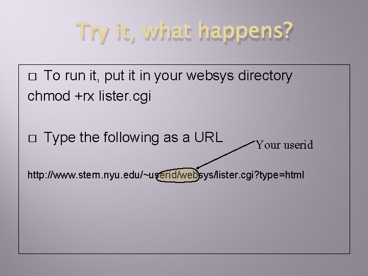 Try it, what happens? To run it, put it in your websys directory chmod