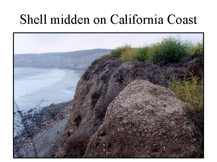 Shell midden on California Coast 