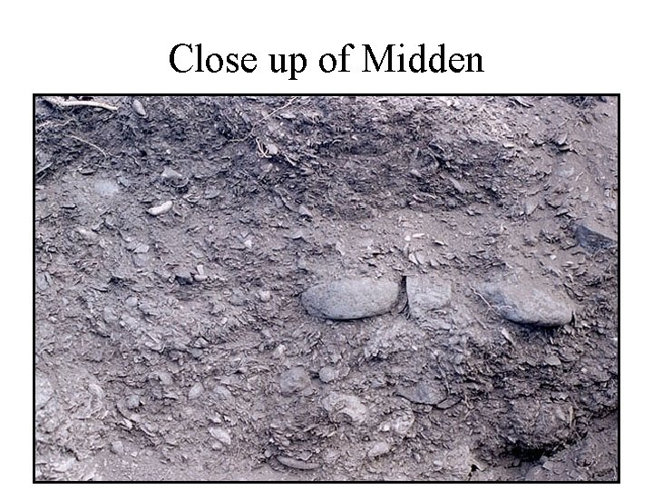 Close up of Midden 