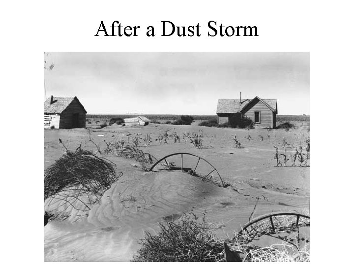After a Dust Storm 