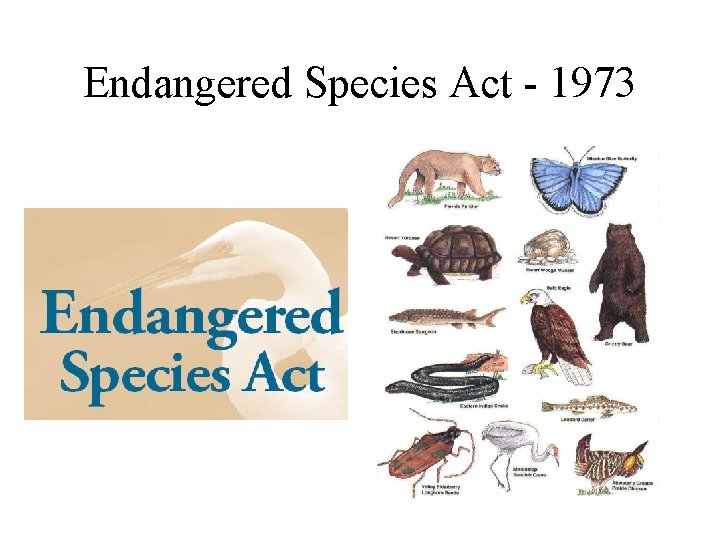 Endangered Species Act - 1973 