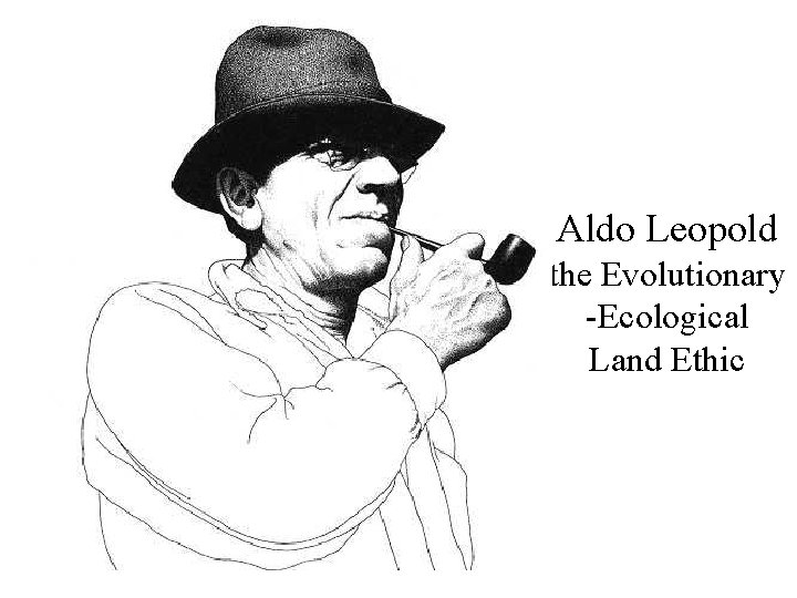 Aldo Leopold the Evolutionary -Ecological Land Ethic 