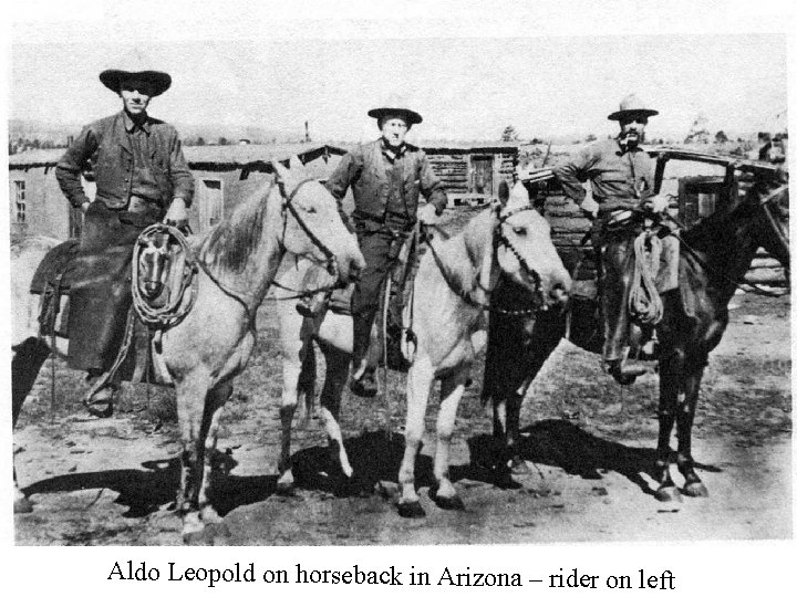 Aldo Leopold on horseback in Arizona – rider on left 