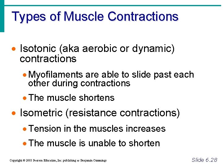 Types of Muscle Contractions · Isotonic (aka aerobic or dynamic) contractions · Myofilaments are