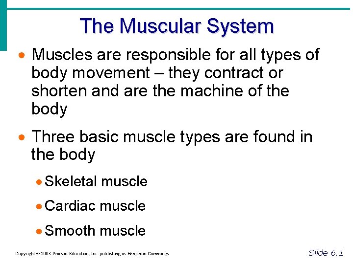The Muscular System · Muscles are responsible for all types of body movement –