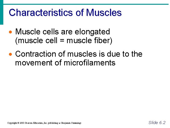 Characteristics of Muscles · Muscle cells are elongated (muscle cell = muscle fiber) ·