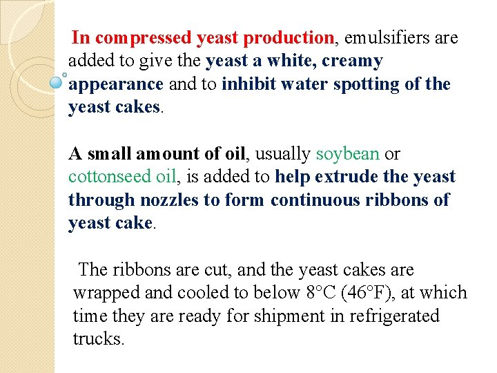 Production of yeast and yeast extract Miss Salsabeel