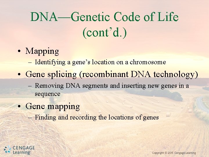 DNA—Genetic Code of Life (cont’d. ) • Mapping – Identifying a gene’s location on