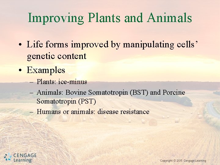 Improving Plants and Animals • Life forms improved by manipulating cells’ genetic content •