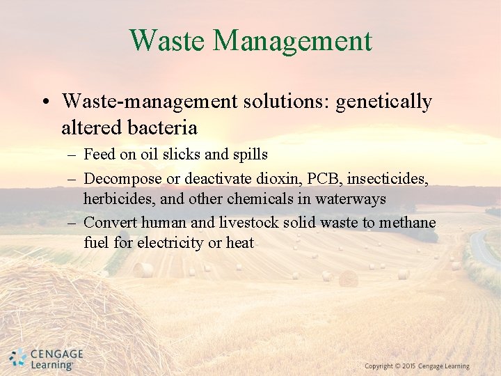 Waste Management • Waste-management solutions: genetically altered bacteria – Feed on oil slicks and