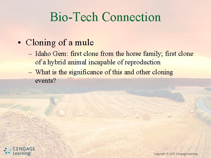 Bio-Tech Connection • Cloning of a mule – Idaho Gem: first clone from the