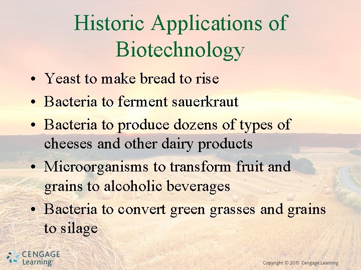 Historic Applications of Biotechnology • Yeast to make bread to rise • Bacteria to