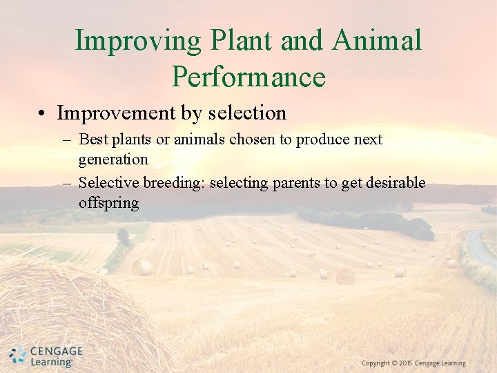 Improving Plant and Animal Performance • Improvement by selection – Best plants or animals