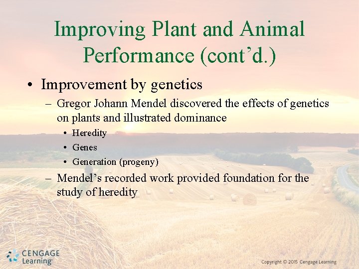 Improving Plant and Animal Performance (cont’d. ) • Improvement by genetics – Gregor Johann