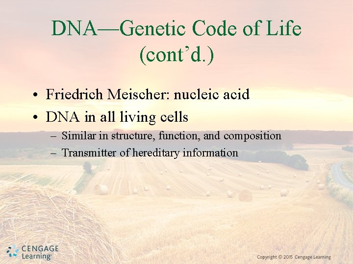 DNA—Genetic Code of Life (cont’d. ) • Friedrich Meischer: nucleic acid • DNA in