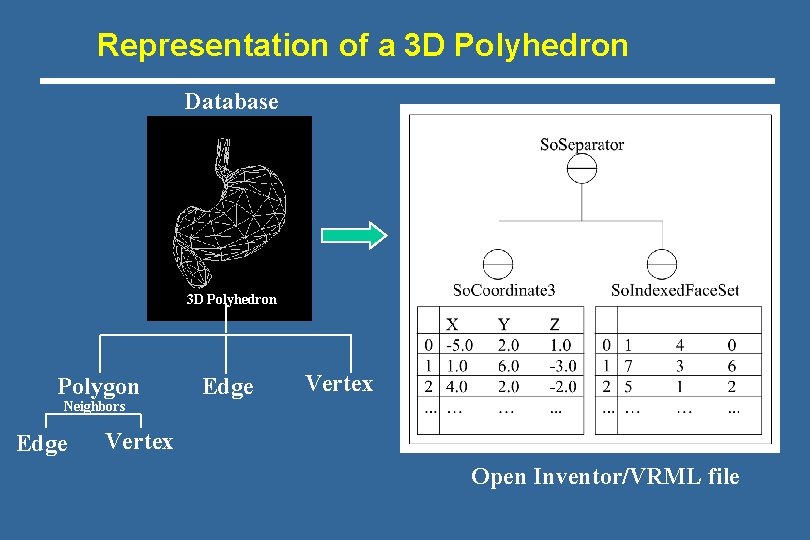 Representation of a 3 D Polyhedron Database 3 D Polyhedron Polygon Neighbors Edge Vertex Representation of a 3 D Polyhedron Database 3 D Polyhedron Polygon Neighbors Edge Vertex