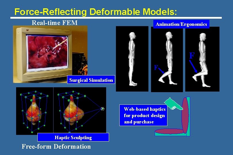 Force-Reflecting Deformable Models: Real-time FEM Animation/Ergonomics F F Surgical Simulation Web-based haptics for product