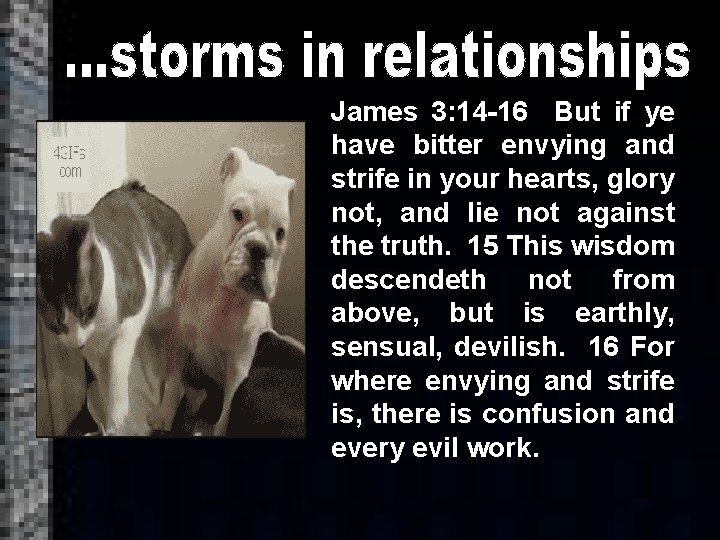 James 3: 14 -16 But if ye have bitter envying and strife in your