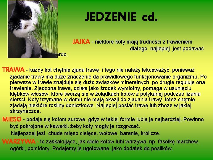 JEDZENIE cd. białka je ugotowane na twardo. JAJKA - niektóre koty mają trudności z