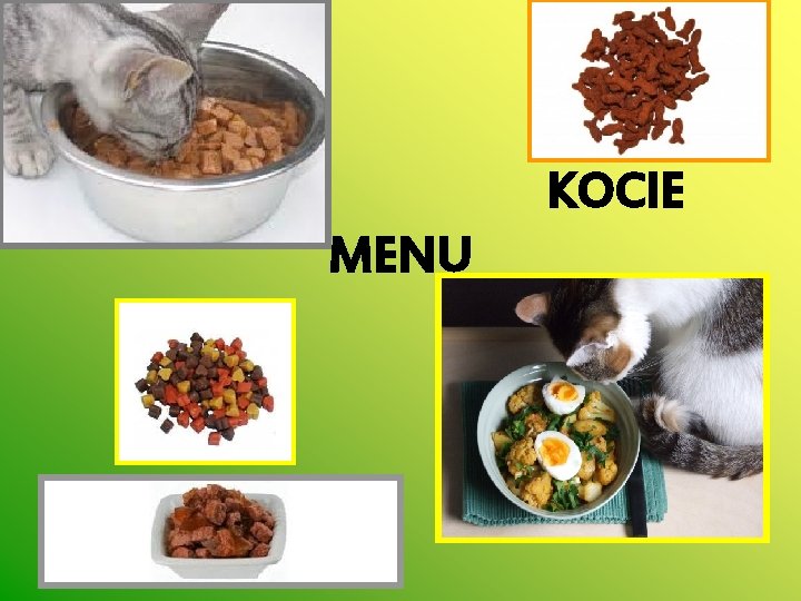 KOCIE MENU 