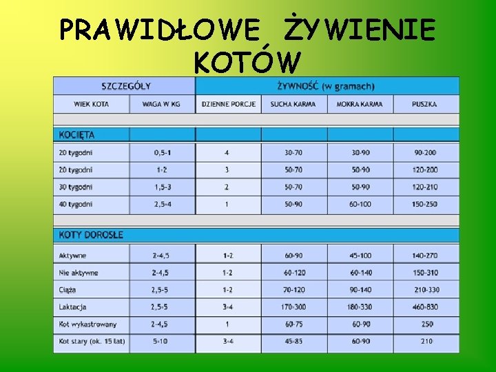 PRAWIDŁOWE ŻYWIENIE KOTÓW 
