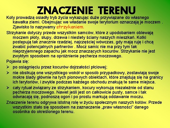 ZNACZENIE TERENU Koty prowadzą osiadły tryb życia wykazując duże przywiązane do własnego kawałka ziemi.